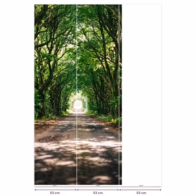 Behang - Weg - Bomen - Natuur - Groen — 6