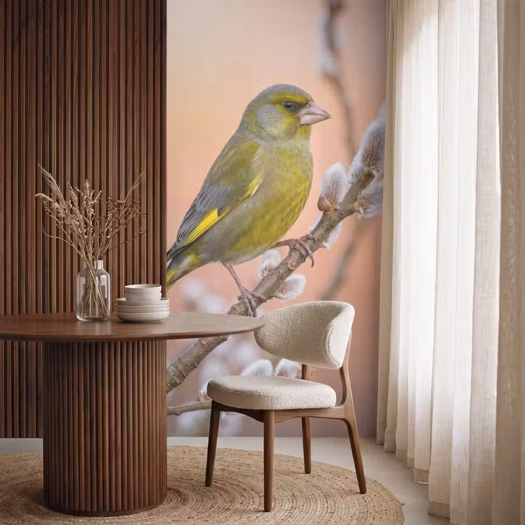 Behang - Groenling - Katjes - Lente - Natuur - Zacht — 4