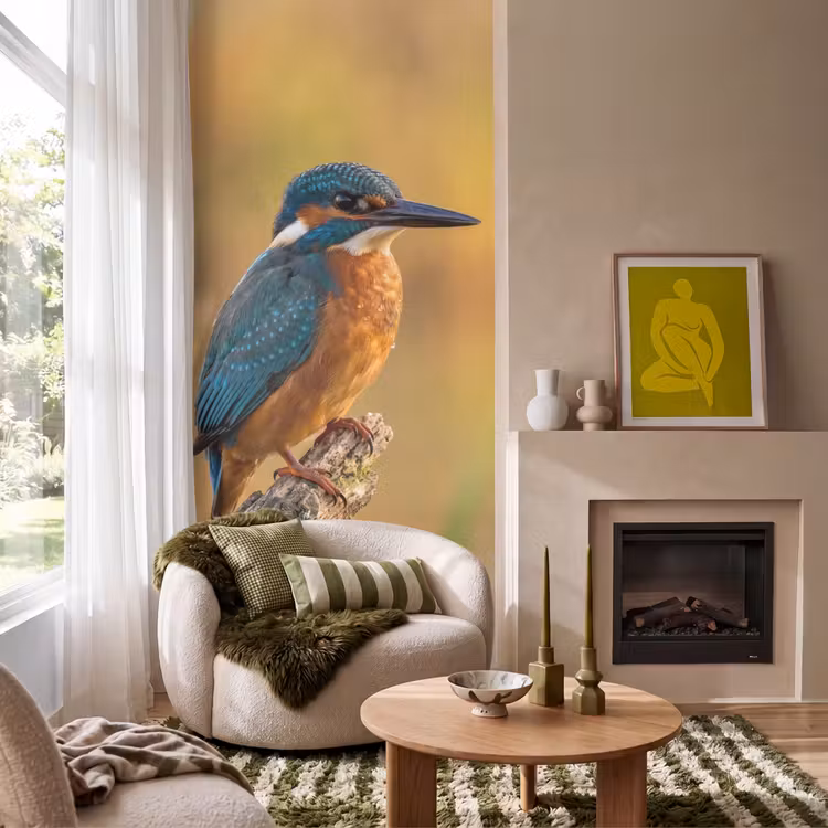 Behang - IJsvogel - Tak - Water - Kleurrijk - Levendig — 1