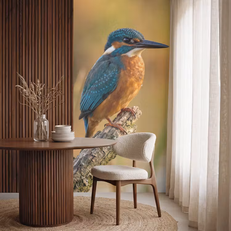Behang - IJsvogel - Tak - Water - Kleurrijk - Levendig — 4