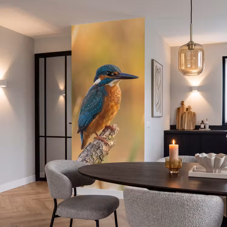 Behang - IJsvogel - Tak - Water - Kleurrijk - Levendig — 5