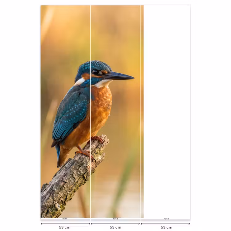 Behang - IJsvogel - Tak - Water - Kleurrijk - Levendig — 6