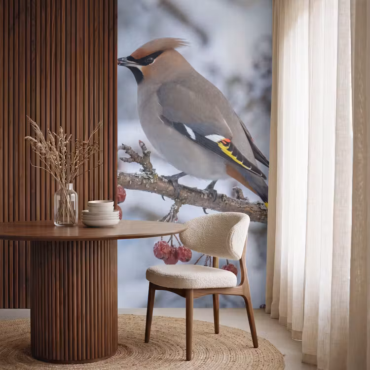 Behang - Pestvogel - Bessen - Winter - Natuur — 4