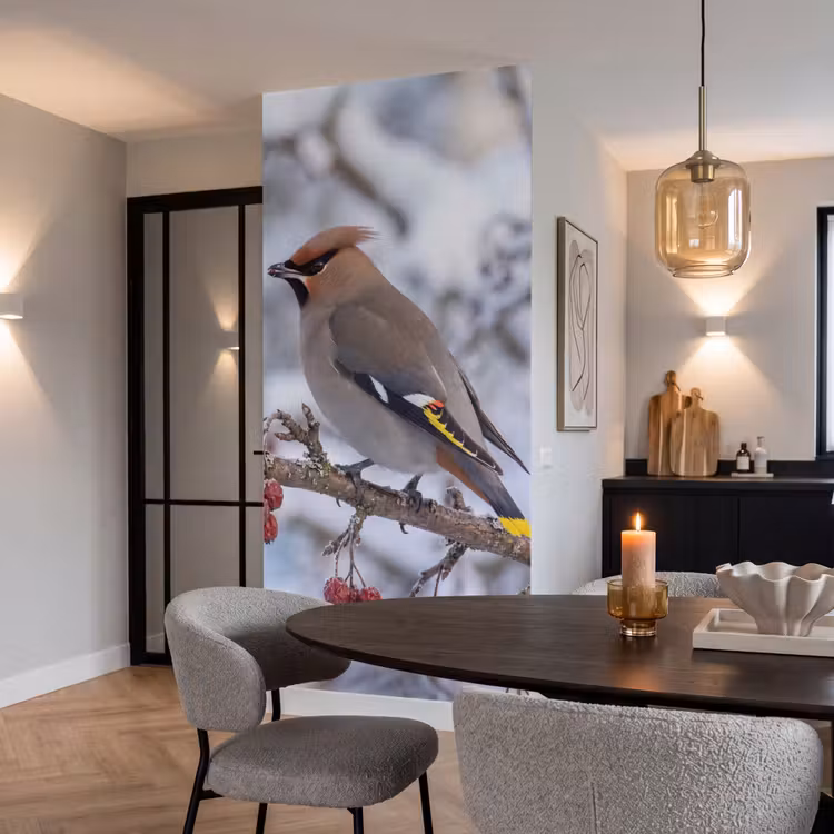Behang - Pestvogel - Bessen - Winter - Natuur — 5