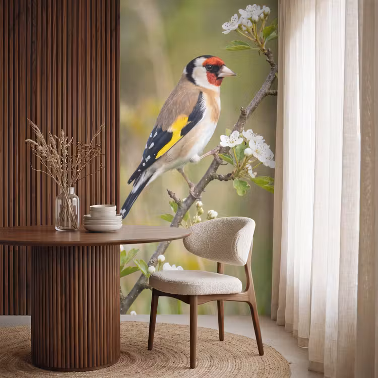 Behang - Putter - Bloesem - Lente - Natuur - Kleurrijk — 4