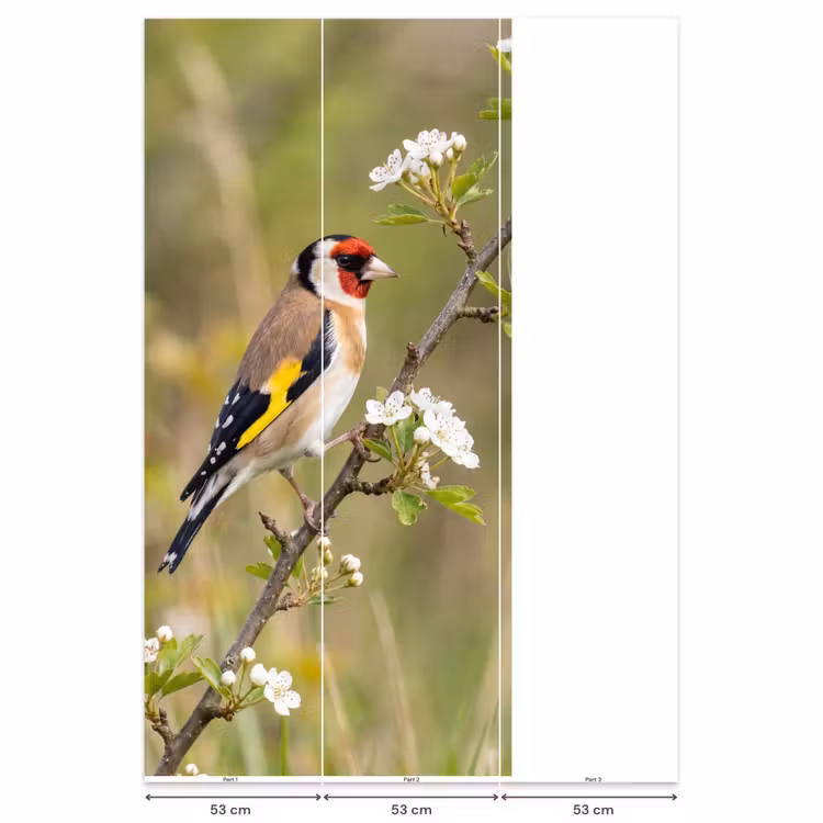 Behang - Putter - Bloesem - Lente - Natuur - Kleurrijk — 6