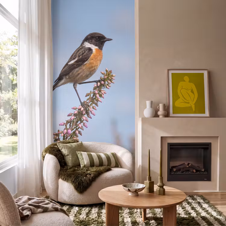 Behang - Roodborsttapuit - Heide - Paars - Natuur - Sfeervol — 1