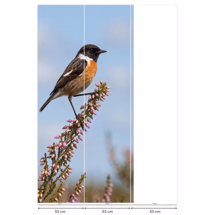 Behang - Roodborsttapuit - Heide - Paars - Natuur - Sfeervol — 6