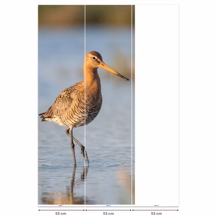 Behang - Vogel - Steltloper - Water - Natuur — 6