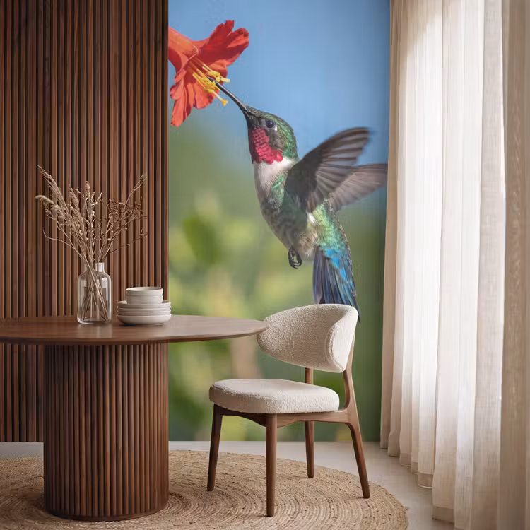 Behang - Kolibrie - Bloem - Natuur - Groen — 4