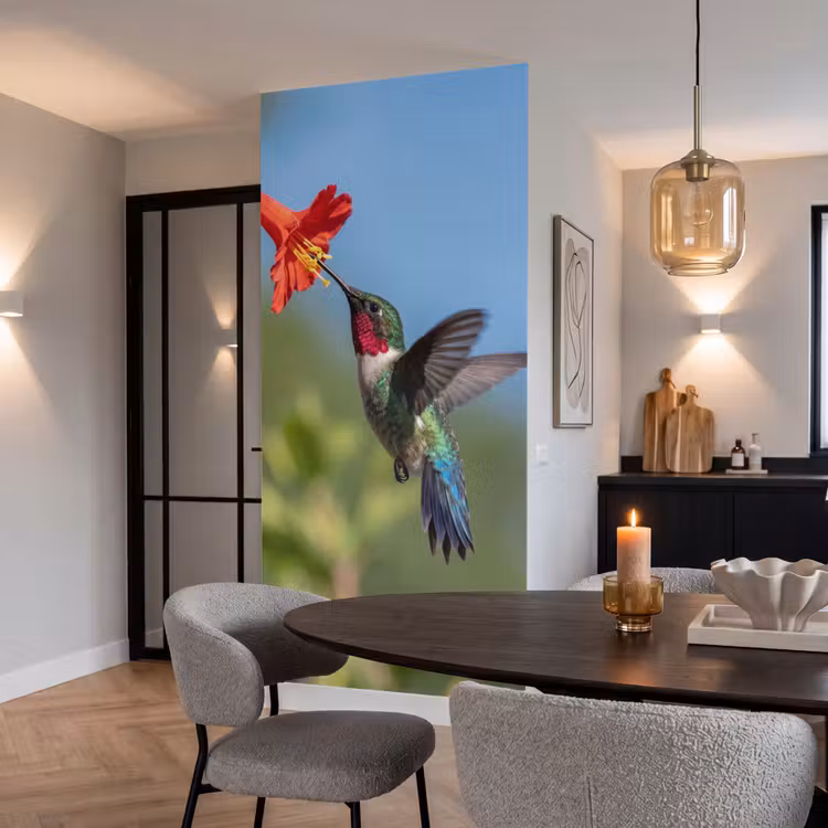 Behang - Kolibrie - Bloem - Natuur - Groen — 5