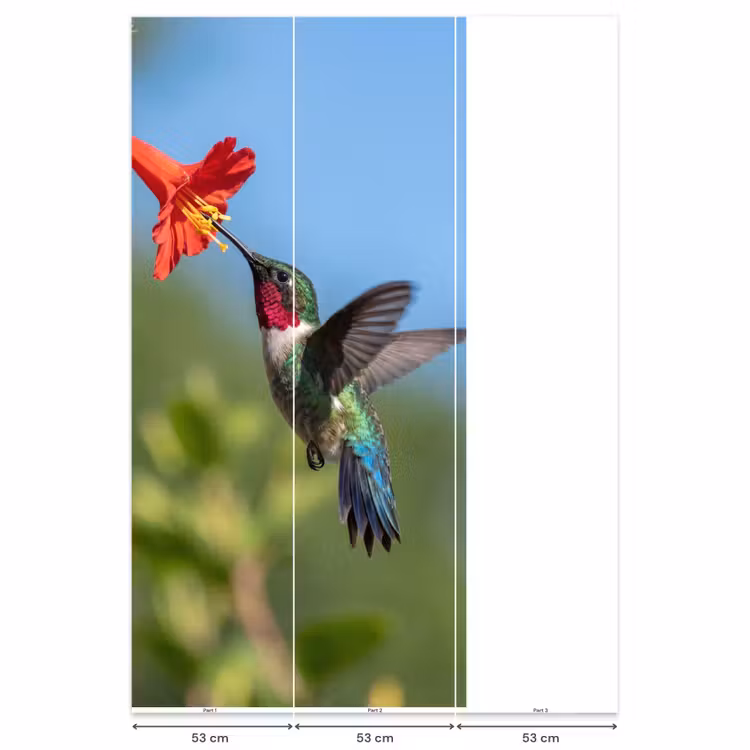 Behang - Kolibrie - Bloem - Natuur - Groen — 6