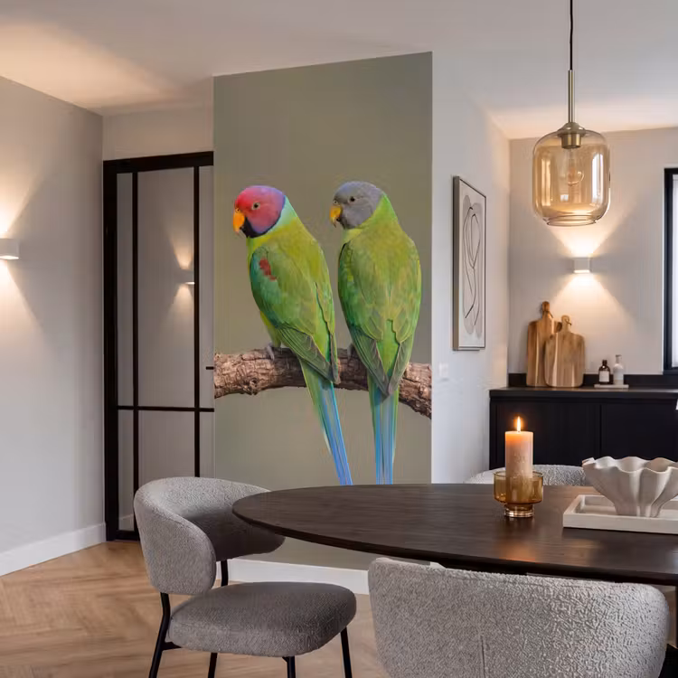 Behang - Papagaai - Tak - Natuur - Kleurrijk — 5
