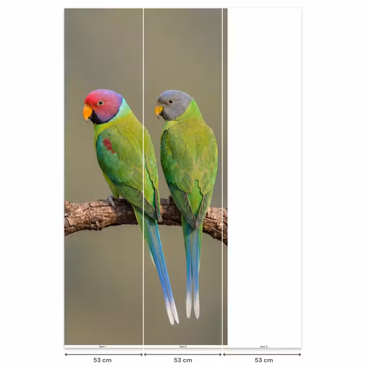 Behang - Papagaai - Tak - Natuur - Kleurrijk — 6