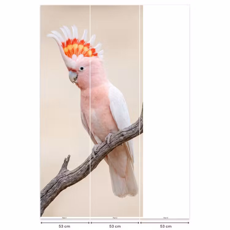 Behang - Papagaai - Tak - Roze — 6