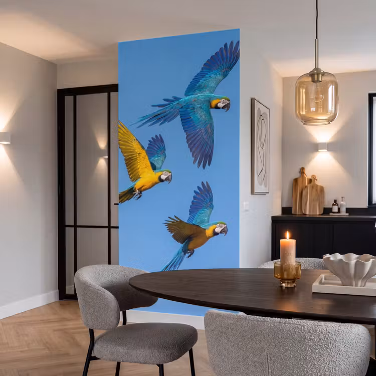 Behang - Papagaai - Vliegen - Blauw - Geel — 5