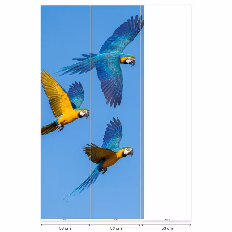 Behang - Papagaai - Vliegen - Blauw - Geel — 6