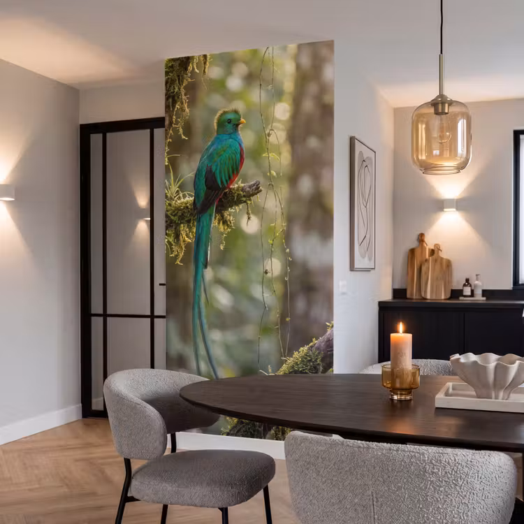 Behang - Quetzal - Jungle - Natuur - Groen — 5