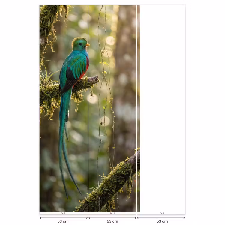 Behang - Quetzal - Jungle - Natuur - Groen — 6