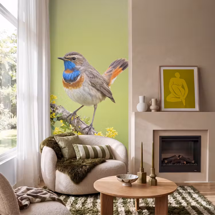 Behang - Vogel - Tak - Natuur - Kleurrijk — 1