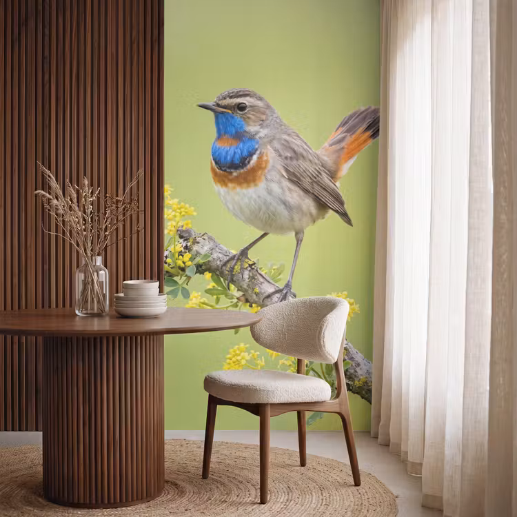 Behang - Vogel - Tak - Natuur - Kleurrijk — 4