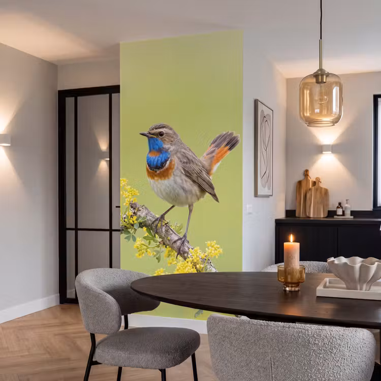 Behang - Vogel - Tak - Natuur - Kleurrijk — 5