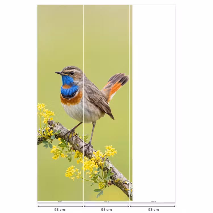 Behang - Vogel - Tak - Natuur - Kleurrijk — 6