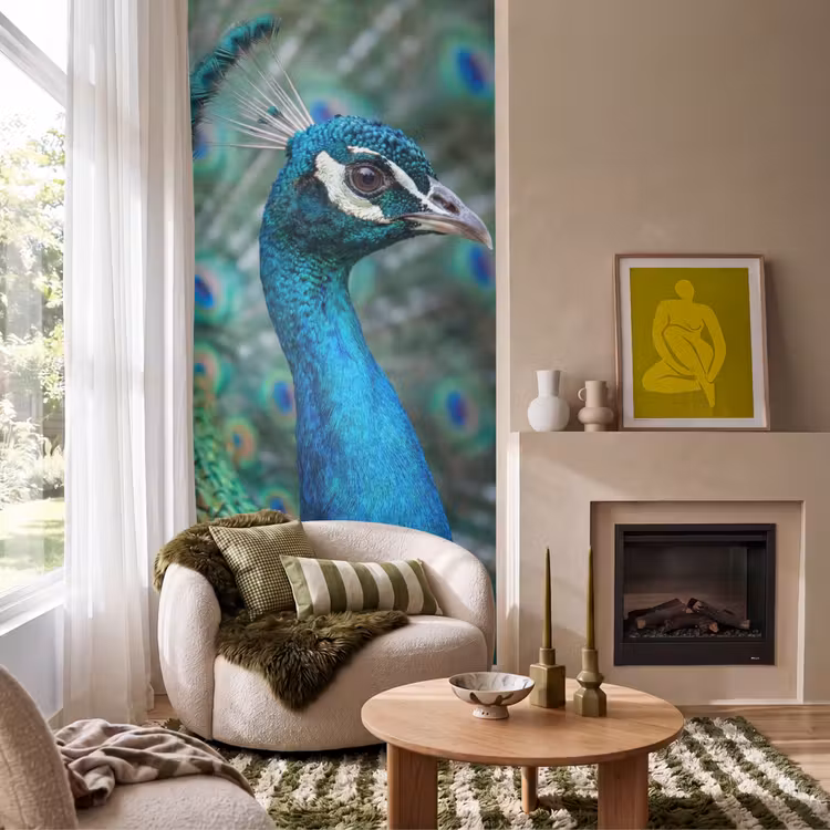 Behang - Pauw - Veren - Blauw — 1
