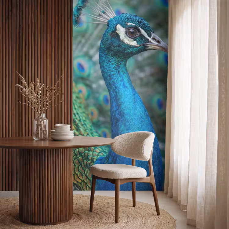Behang - Pauw - Veren - Blauw — 4