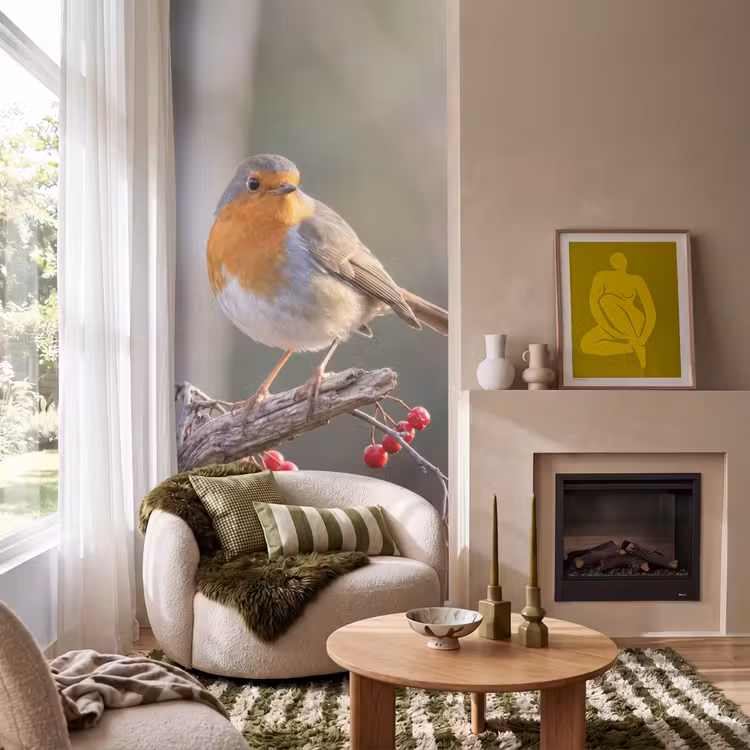 Behang - Roodborst - Tak - Bessen - Natuur — 1