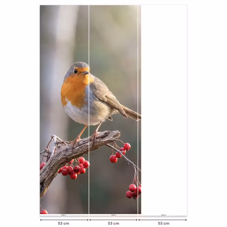 Behang - Roodborst - Tak - Bessen - Natuur — 6