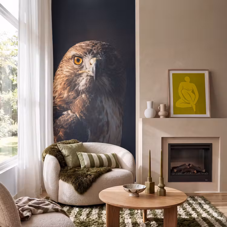 Behang - Roofvogel - Buizerd - Bruin — 1