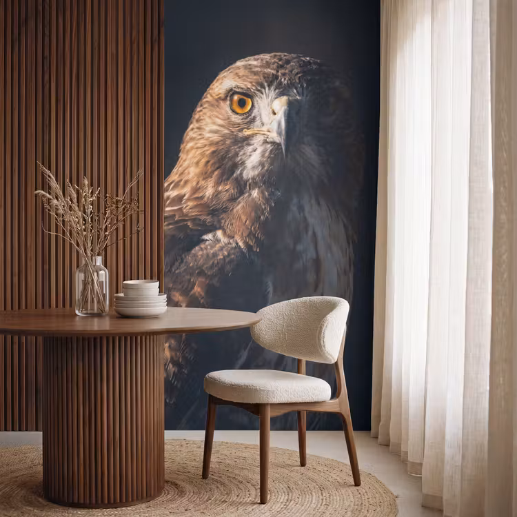 Behang - Roofvogel - Buizerd - Bruin — 4