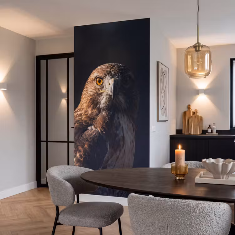 Behang - Roofvogel - Buizerd - Bruin — 5