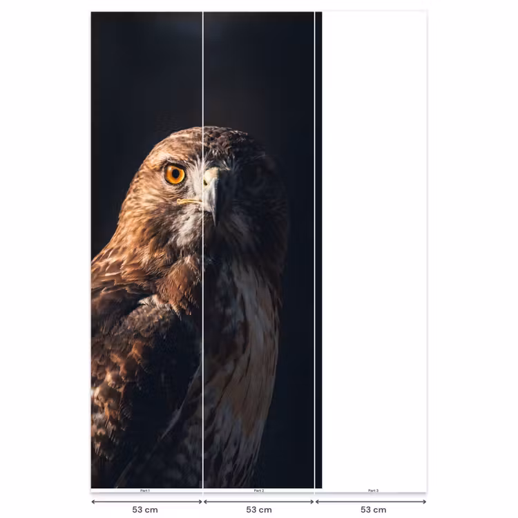 Behang - Roofvogel - Buizerd - Bruin — 6