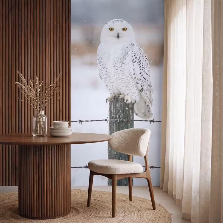 Behang - Sneeuwuil - Hek - Sneeuw - Wit — 4