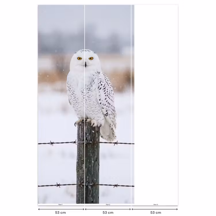 Behang - Sneeuwuil - Hek - Sneeuw - Wit — 6