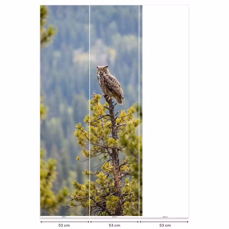 Behang - Uil - Oehoe - Bomen - Natuur — 6