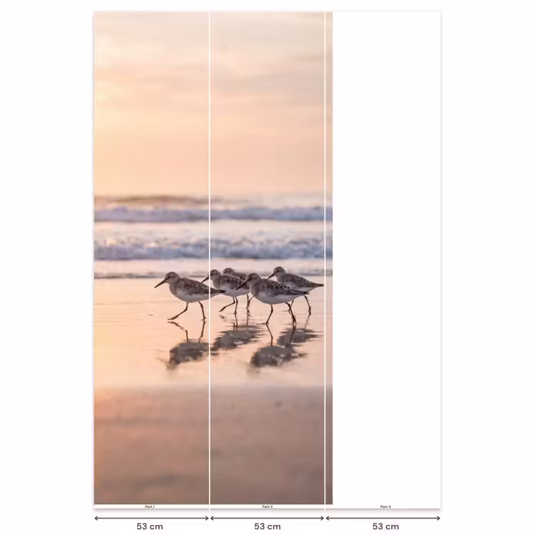 Behang - Zee - Vogels - Strand — 6