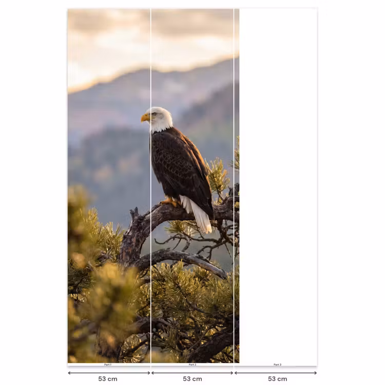 Behang - Zeearend - Boom - Bergen - Groen — 6