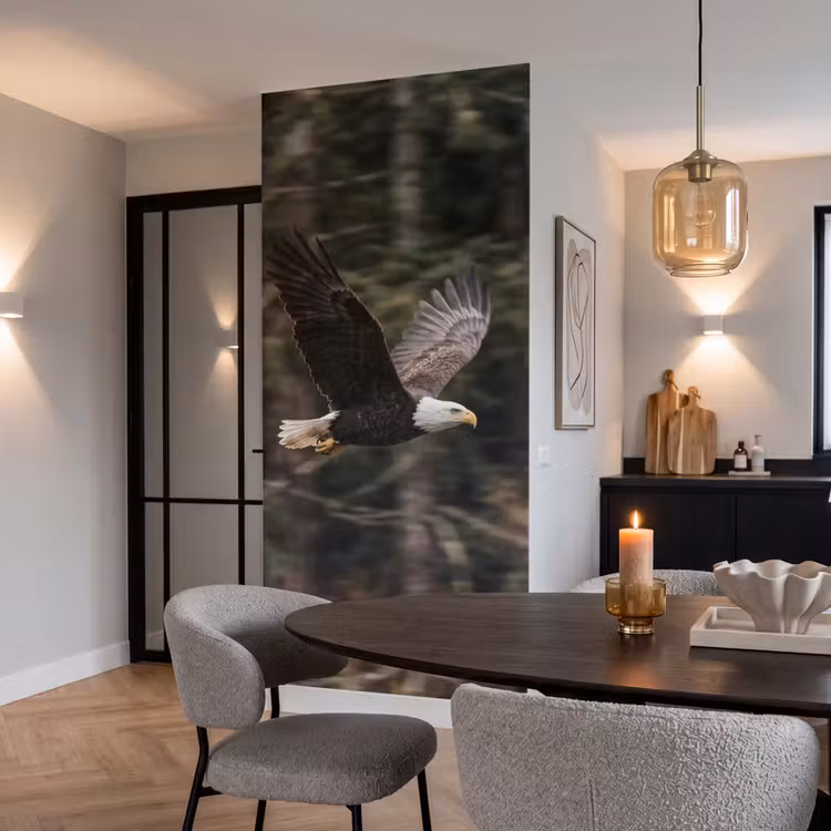 Behang - Zeearend - Vliegen - Bos - Natuur — 5