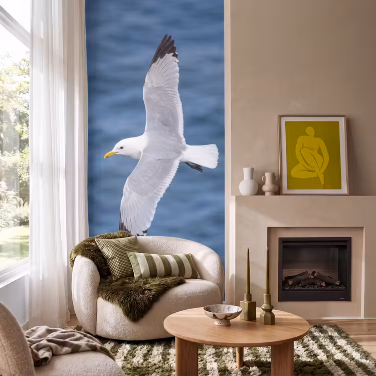 Behang - Zeemeeuw - Oceaan - Blauw — 1