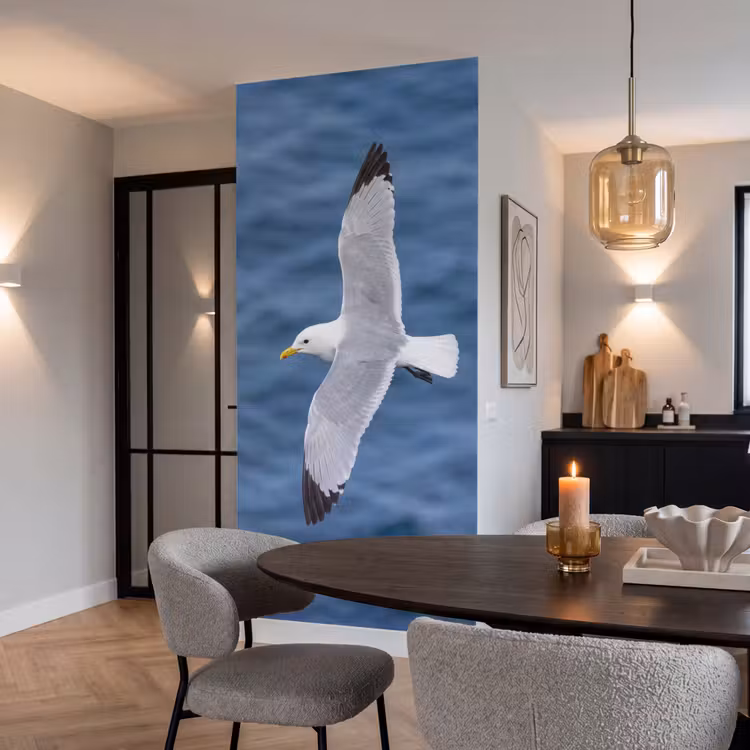 Behang - Zeemeeuw - Oceaan - Blauw — 5