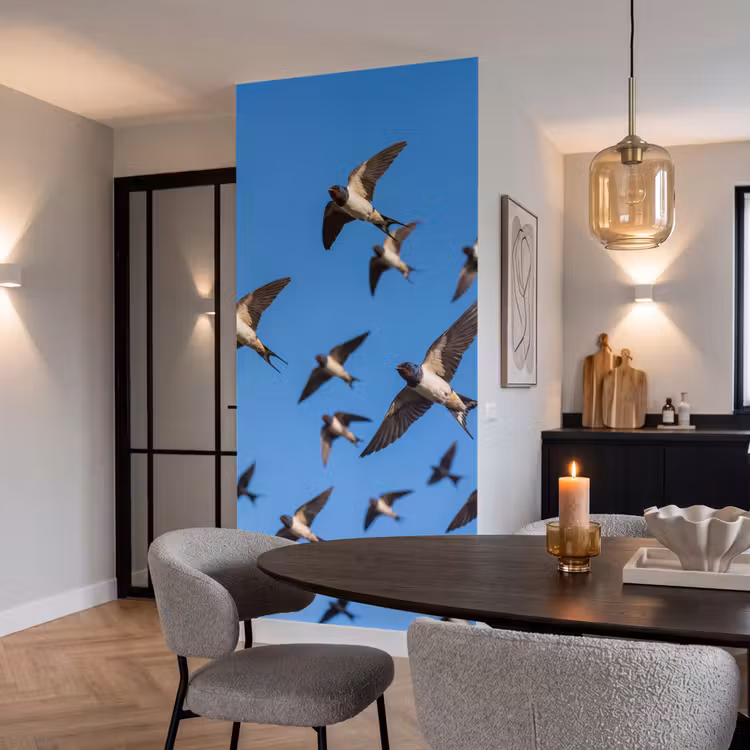 Behang - Zwaluwen - Vliegen - Blauw — 5