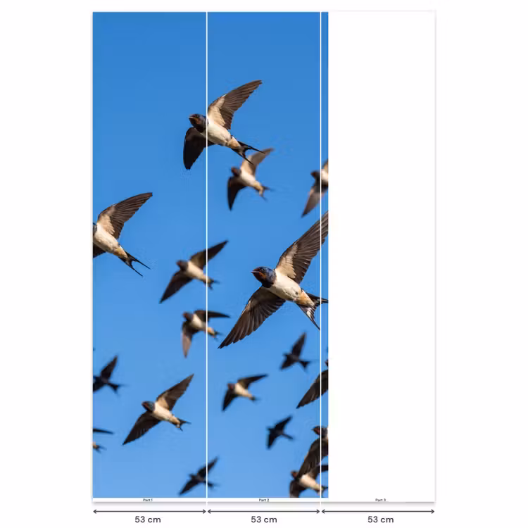 Behang - Zwaluwen - Vliegen - Blauw — 6