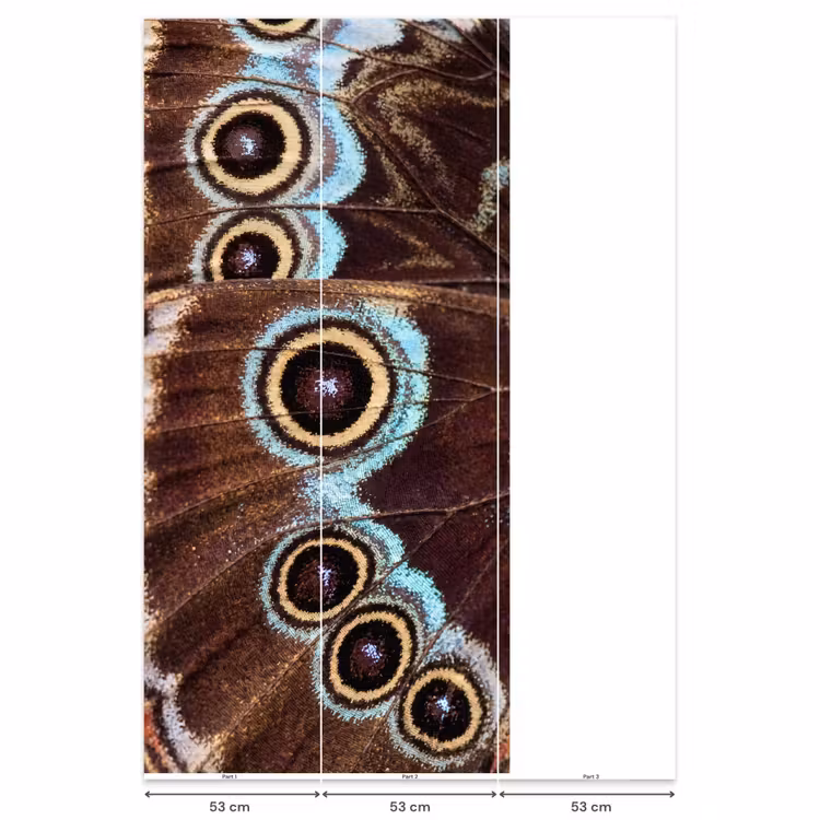 Behang - Vleugels - Vlinder - Blauw — 6