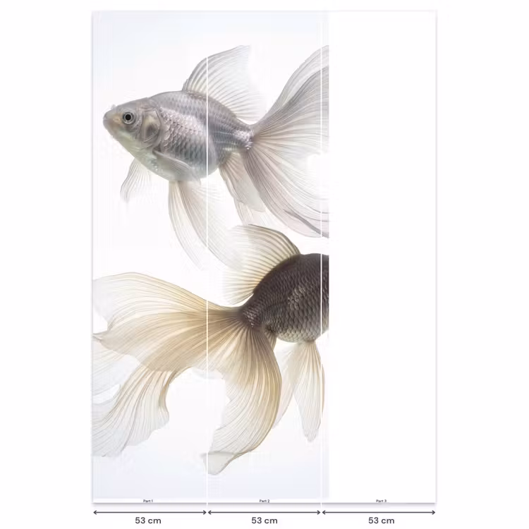 Behang - Goudvissen - Modern - Wit — 6