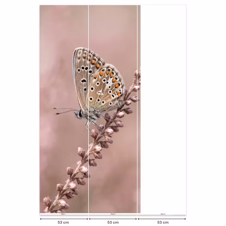 Behang - Lavendel - Vlinder - Paars — 6