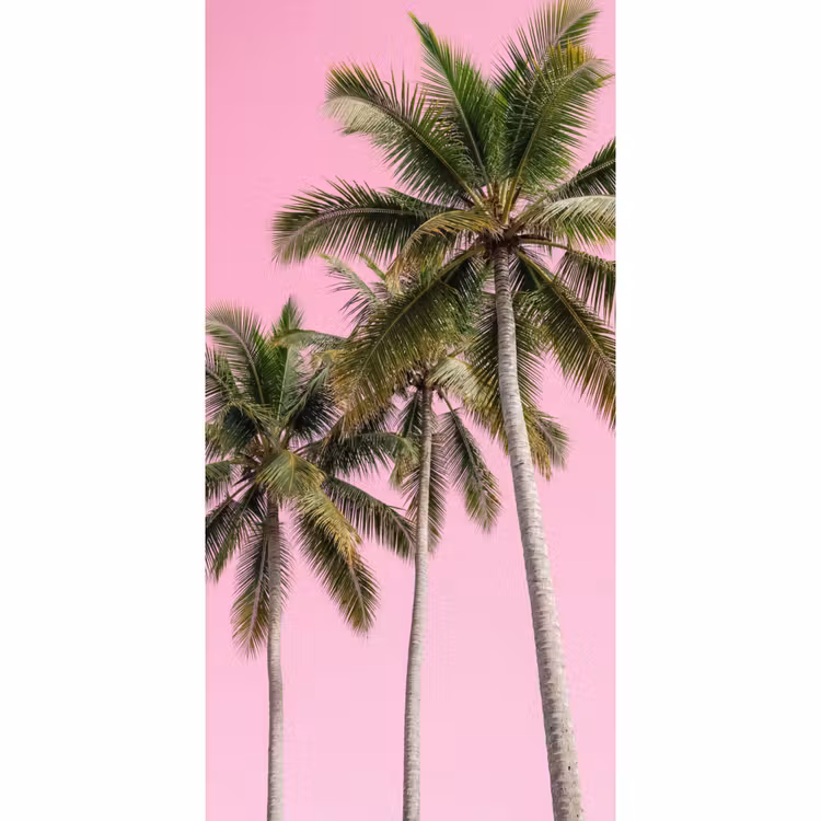 Behang - Palmboom - Tropisch - Pink — 2