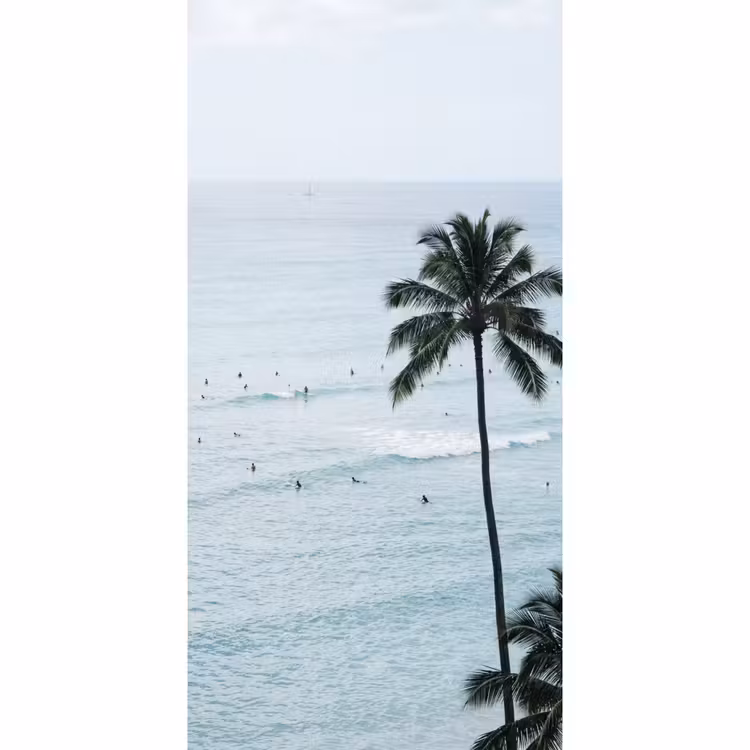 Behang - Oceaan - Palmbomen - Surfers — 2